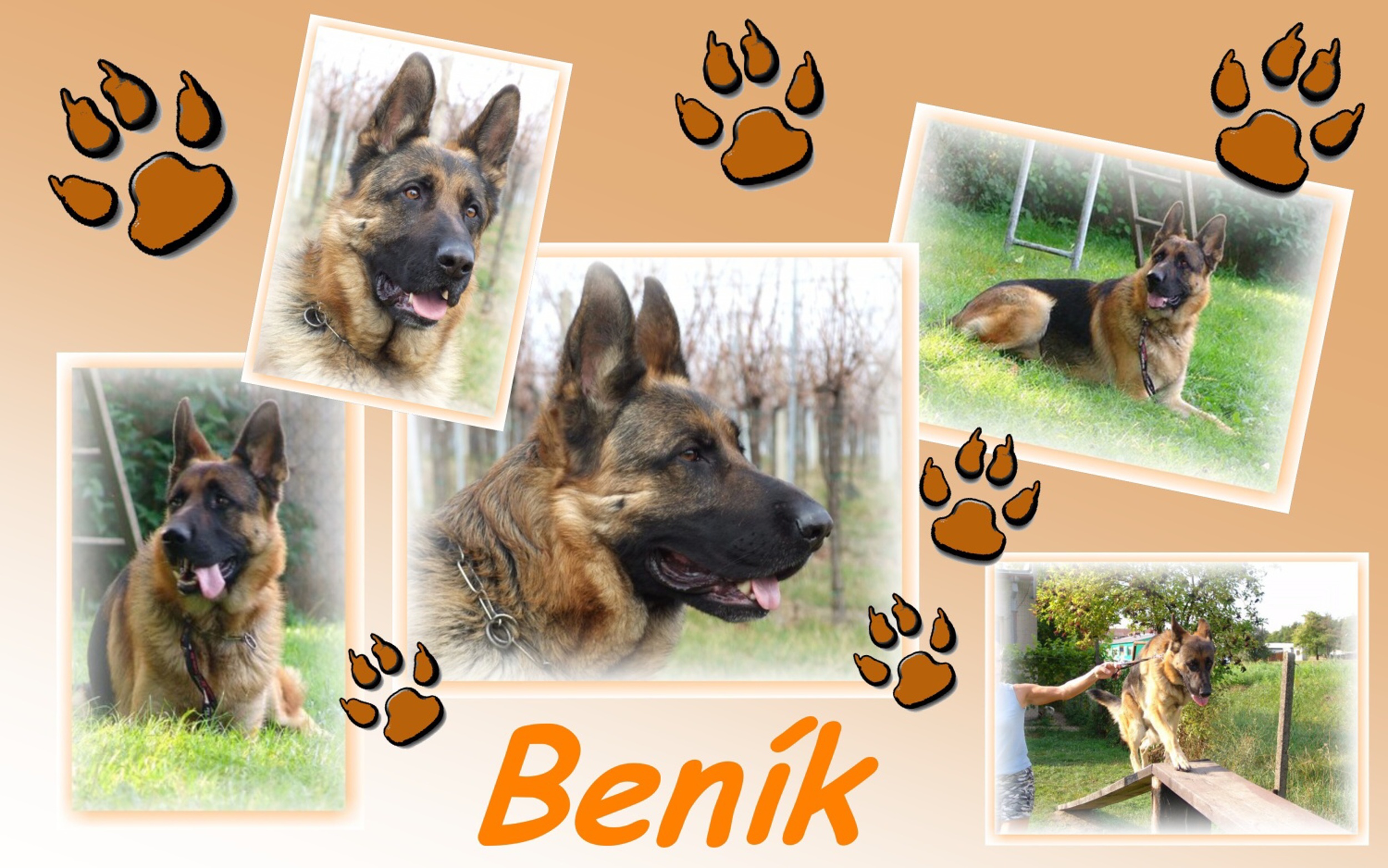 Ben -kol.jpg
