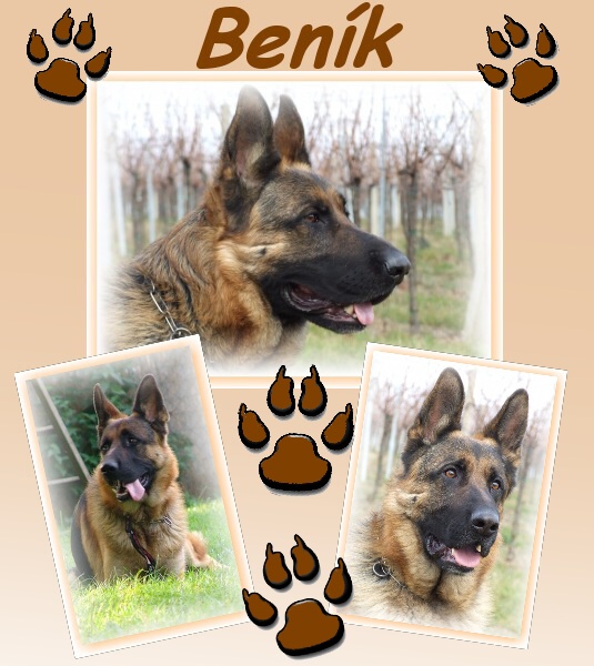 beník kol.jpg