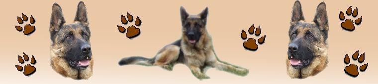 Beník logo 1.jpg